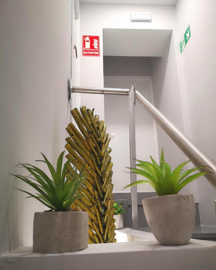 Eres Emerita "Apartamentos & Suites" Mérida Buitenkant foto